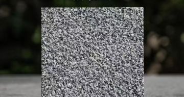 金昌 芝麻黑荔枝面