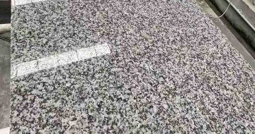 金昌 芙蓉白光面