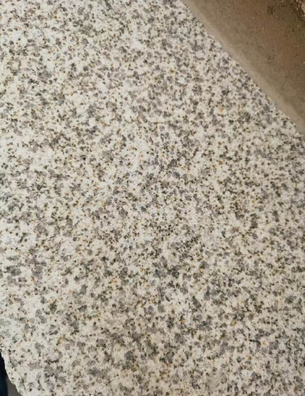 金昌 黄金麻中黄光面