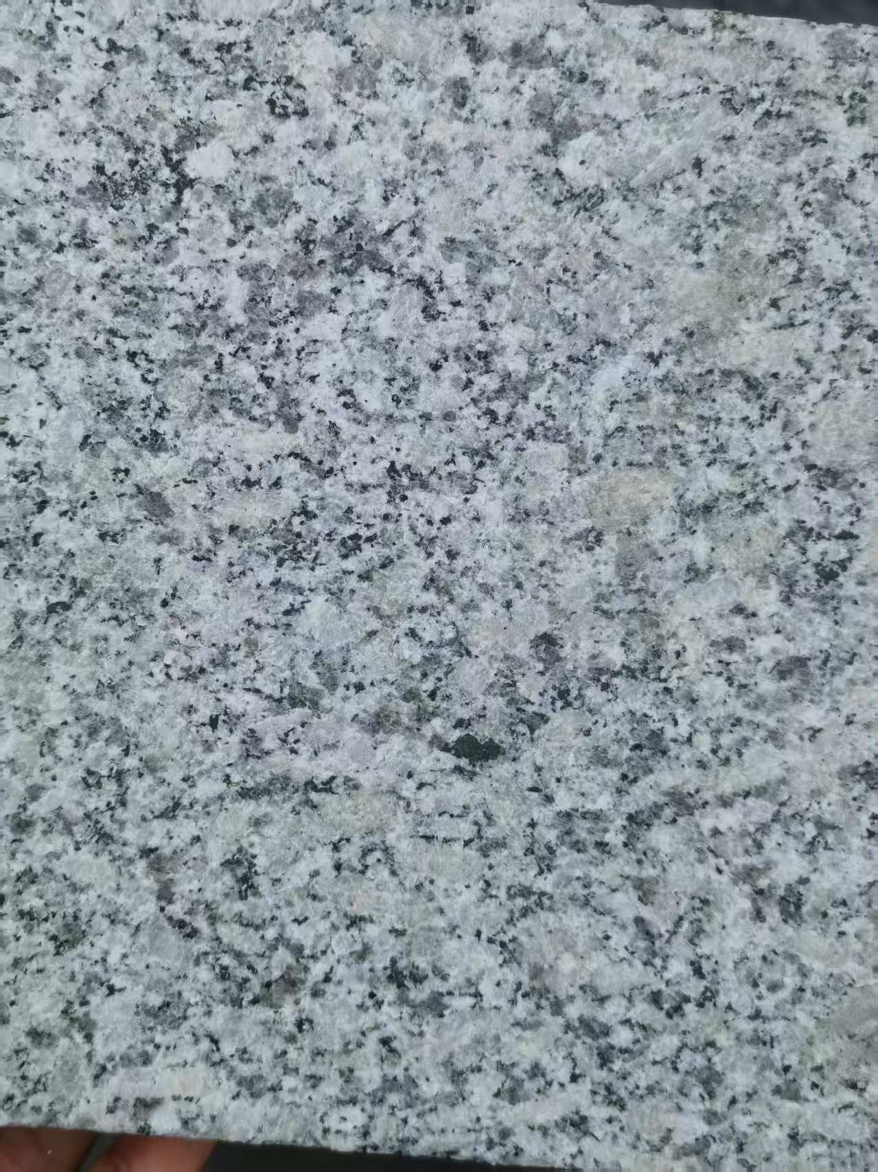 金昌 芙蓉白火烧面